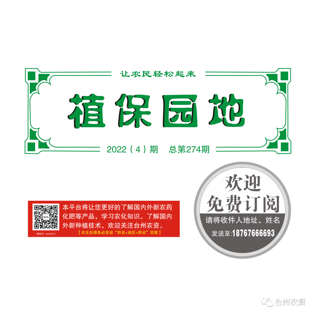氣溫驟降，大棚西瓜做好以下幾點(diǎn)工作