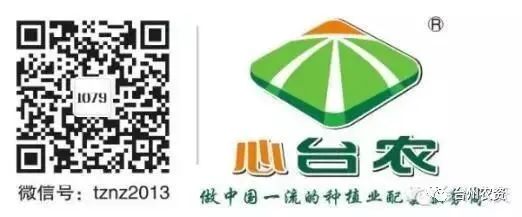 果實(shí)接近成熟，警惕柑橘表面各種油胞病